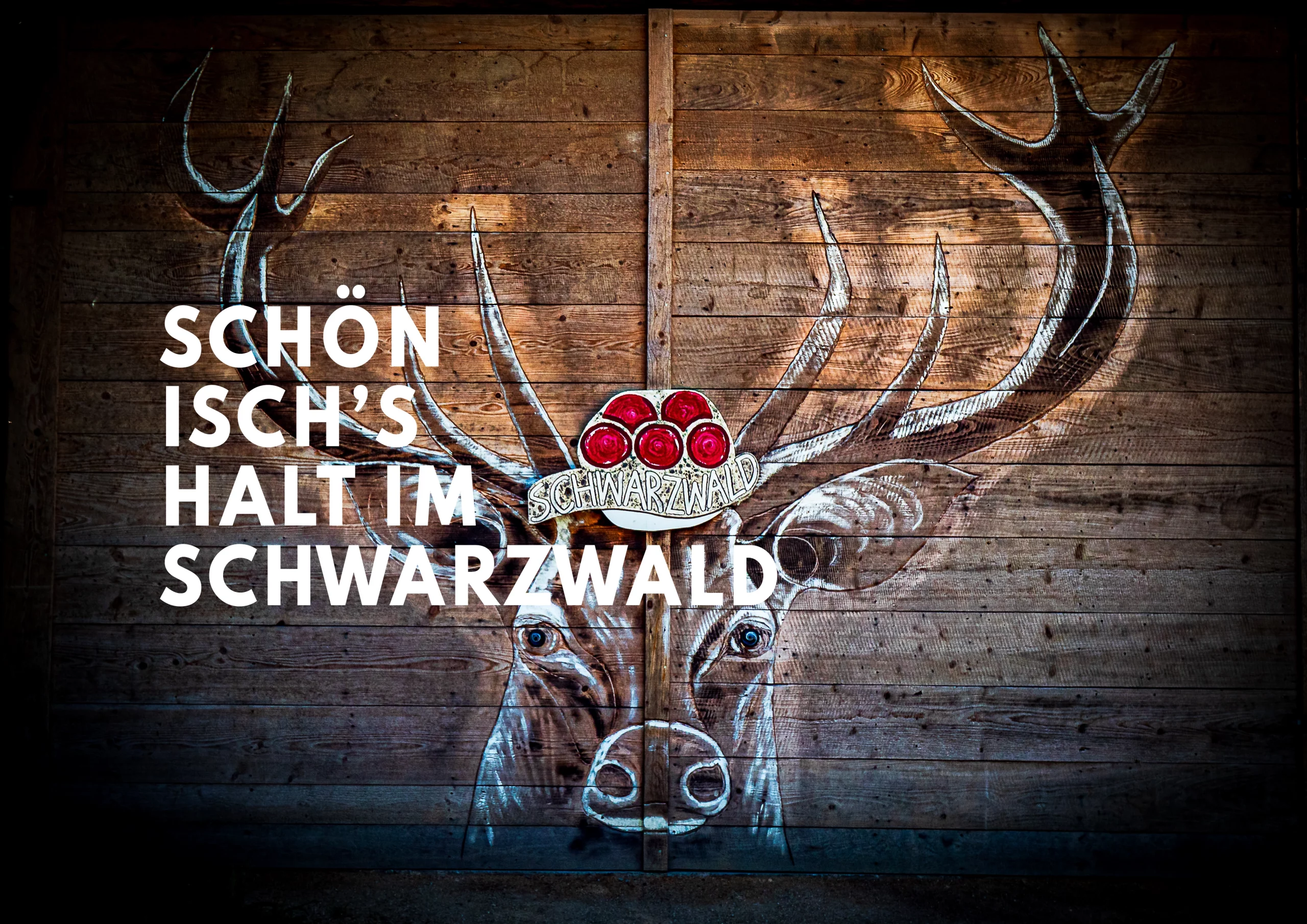 Schwarzwald Hirsch - Bottenau