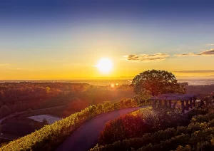 Sonnenuntergang am Durbacher Aussicht Köpfle