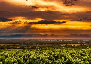 Götterdämmerung über den Vogesen am Kaiserstuhl