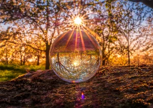 Kirschblüte bei Nesselried