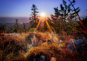 Sonnenuntergang auf der Hornisgrinde