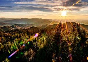 Blick vom Brandeckturm ins Kinzigtal
