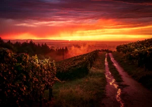Mystische Abendstimmung über der Rheinebene in Bottenau
