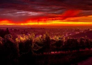 Mystische Abendstimmung über der Rheinebene in Bottenau