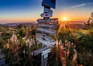 Wegkreuz im Sonnenaufgang auf der Hornisgrinde