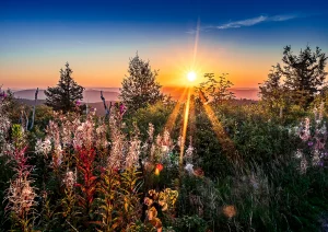 Sonnenaufgang auf der Hornisgrinde