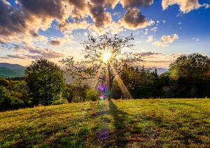 Sonnenuntergang auf der Schwend bei Waldulm