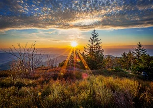 Sonnenuntergang auf dem Katzenkopf unterhalb der Hornisgrinde