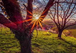 Sonnenuntergang bei Bottenau