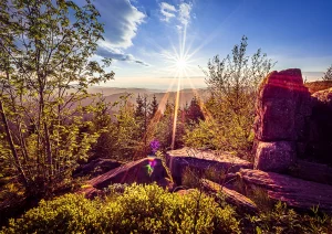 Sonnenuntergang auf dem Panoramaweg oberhalb dem Lierbach