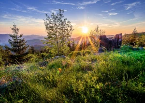 Sonnenuntergang auf dem Panoramaweg oberhalb dem Lierbach