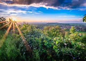 Sonnenuntergang bei Sasbach am Kaiserstuhl