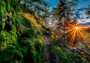 Sonnenuntergang auf dem Weg zum Hohfelsen unterhalb der Hornisgrinde