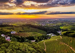 Abendstimmung über der Rheinebene oberhalb Kohlstadt bei Nesselried
