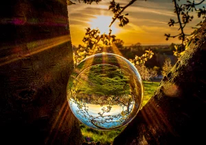 Sonnenuntergang bei Appenweier auf einem Kirschacker