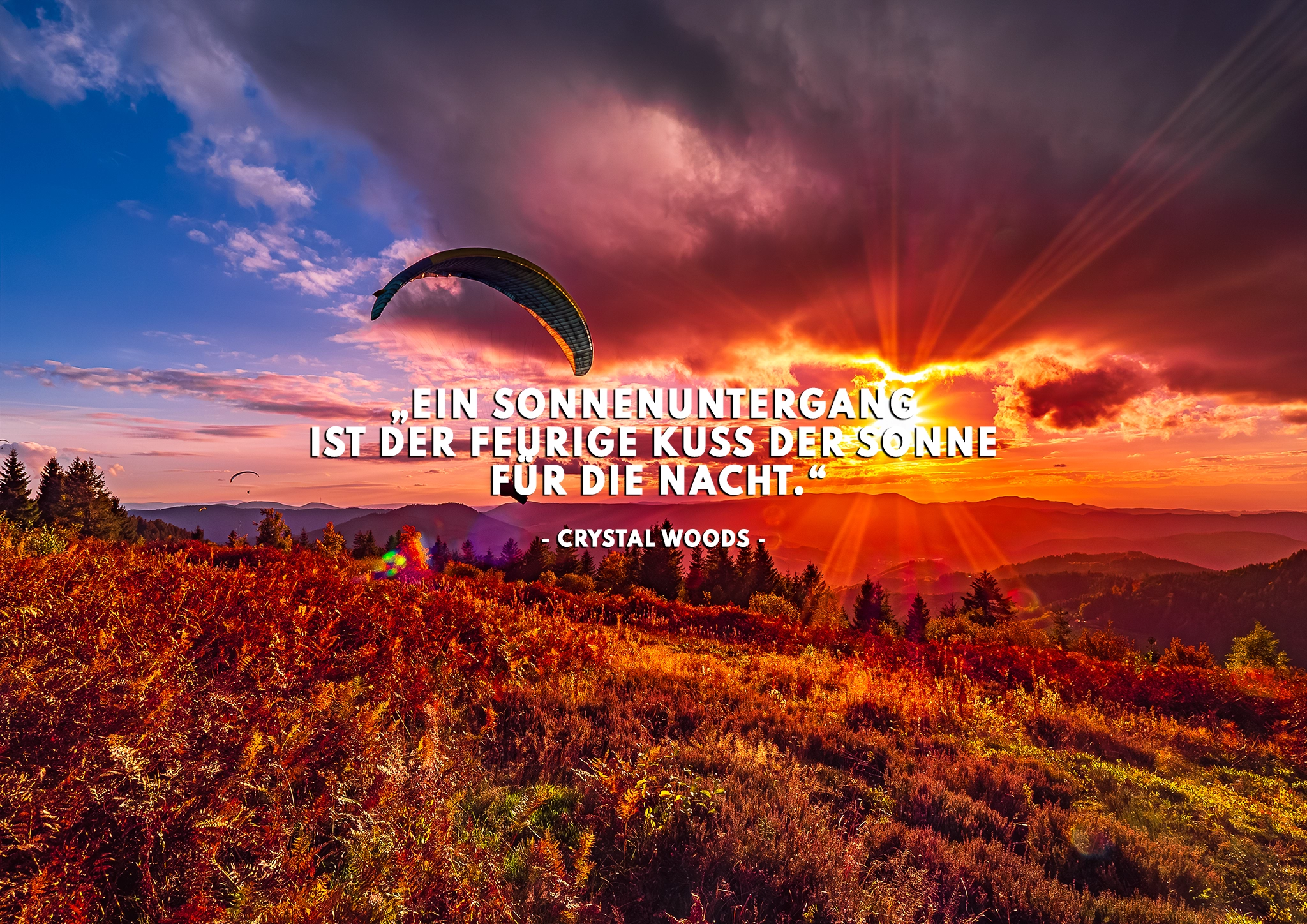 Gleitschirmflieger Oppenau