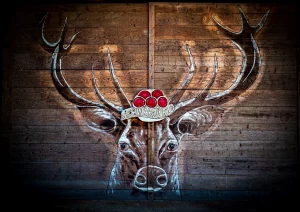 Scheunentor in Bottenau