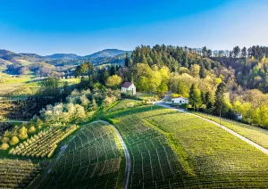 Sankt Wendelins Kapelle in Bottenau