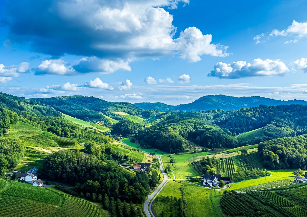 Blick über das Bottnauer Tal