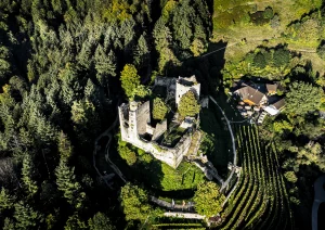 Die Schauenburg in Oberkirch