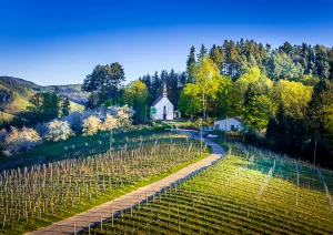 Sankt Wendelins Kapelle in Bottenau