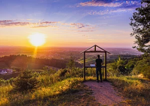Rheintalblick in Nesselried