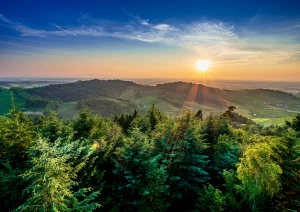 Blick über Bottenau in die Rheinebene vom Geigerskopfturm aus