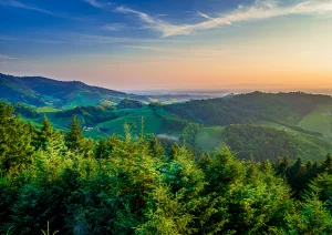 Blick ins Hintere Bottenau vom Geigerskopfturm aus