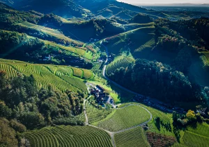 Die Schauenburg bei Oberkirch