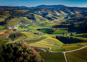Die Schauenburg bei Oberkirch