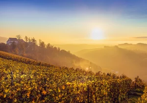 Mystischer Sonnenuntergang über Schloss Staufenberg in Durbach