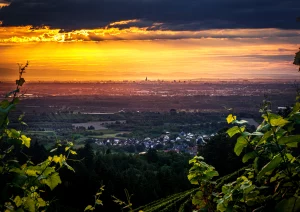 Blick oberhalb von Kohlstadt bei Nesselried in die Rheinebne mit dem Straßburger Münster