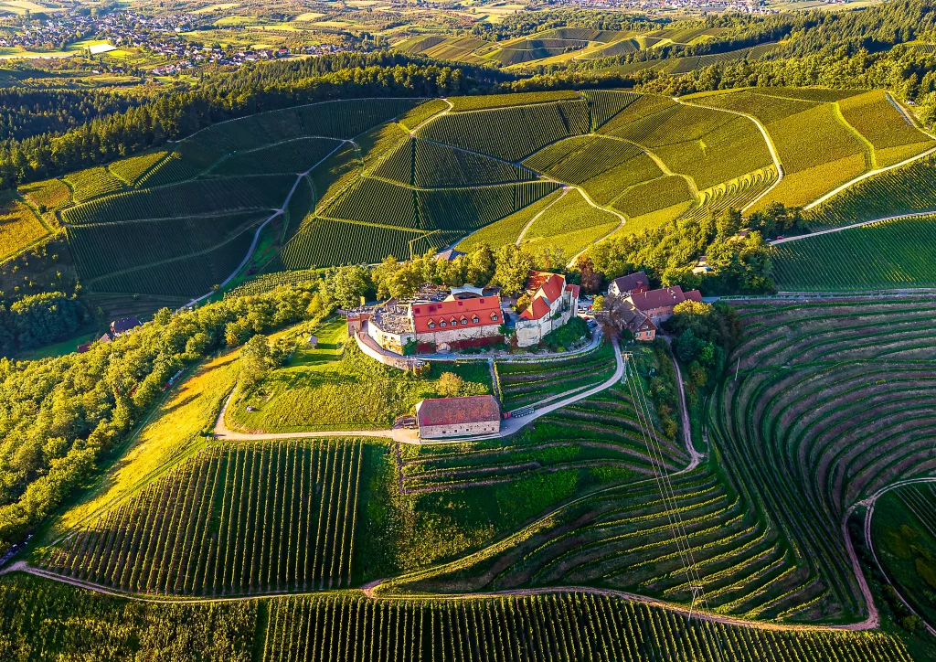 Luftaufnahme Schloss Staufenberg in Durbach