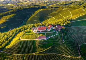 Luftaufnahme Schloss Staufenberg in Durbach