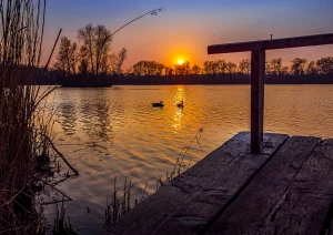 Zwei verliebte Wildenten im Sonnenuntergang am wunderschönen Leutesheimer Baggerseee