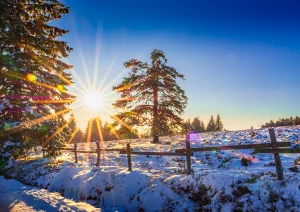 Schliffkopf - Baiersbronn